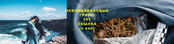 spice Арсеньев