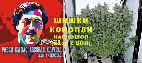 spice Арсеньев