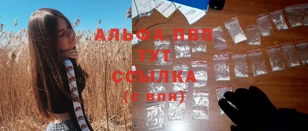 spice Арсеньев